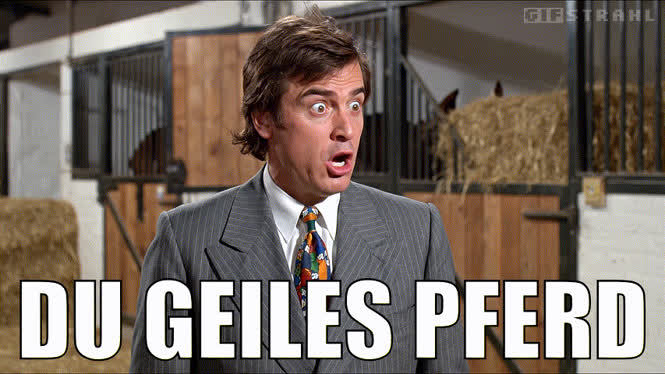 Du geiles Pferd