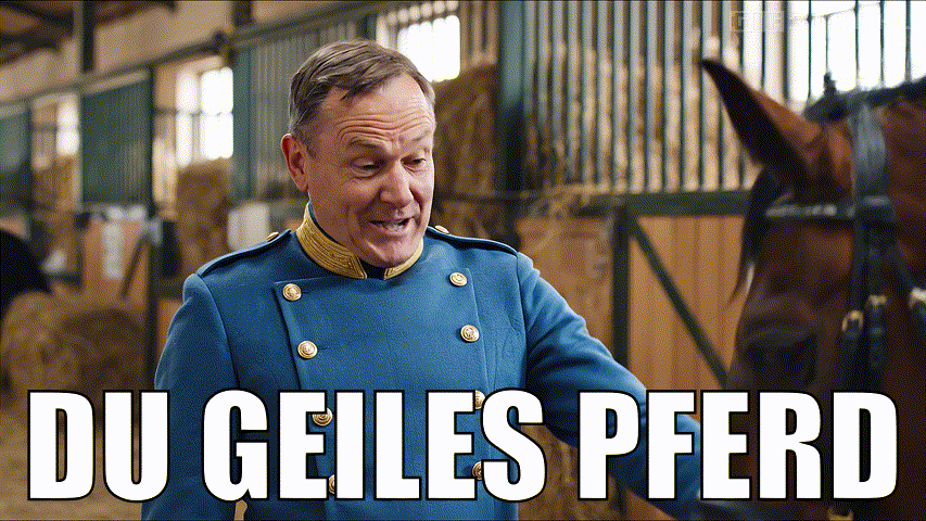 Du geiles Pferd