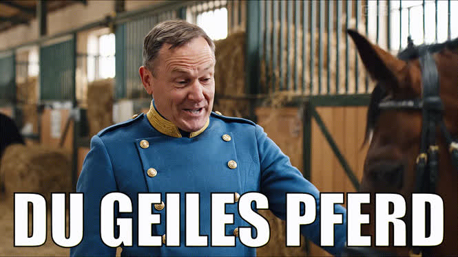 Du geiles Pferd