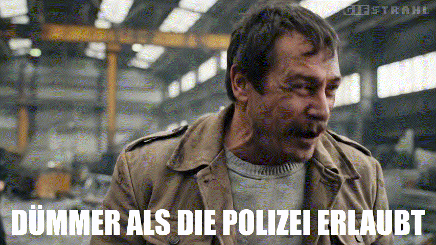 Dümmer als die Polizei erlaubt