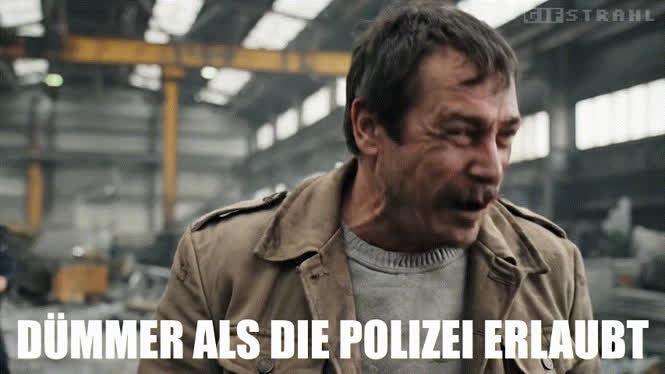 Dümmer als die Polizei erlaubt