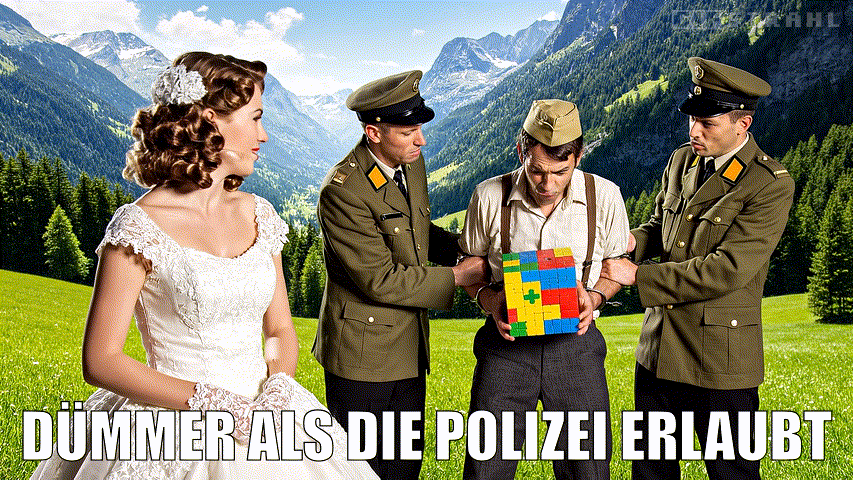 Dümmer als die Polizei erlaubt