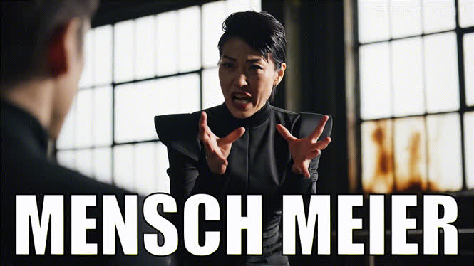 Mensch Meier