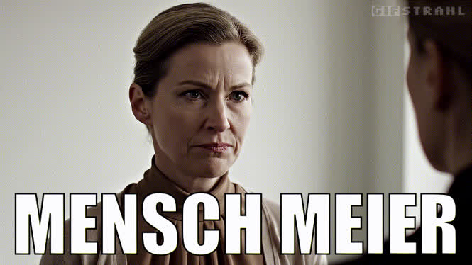 Mensch Meier
